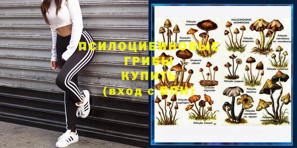 стафф Балабаново