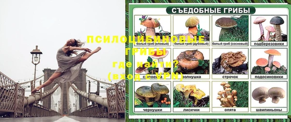 ALPHA PVP Беломорск